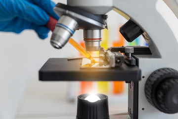Fototapeta premium The health care researcher's hand holds a test tube with a microscope in the laboratory.