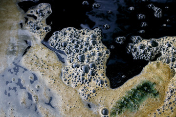 bubbles in the murky and dark water of a creepy swamp - foam and moss textures