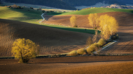 Spring landscape with trees, fields and meadows in Turiec region, Slovakia. Wavy country scenery at...