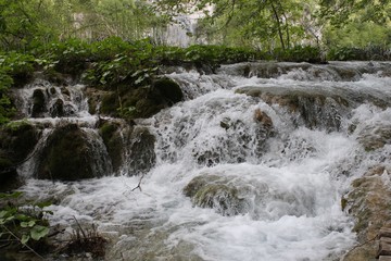 Waterfall in forest