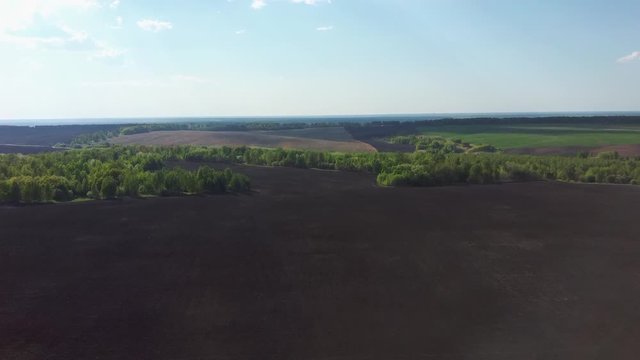 Gray field with trees against the blue sky. Siberia
