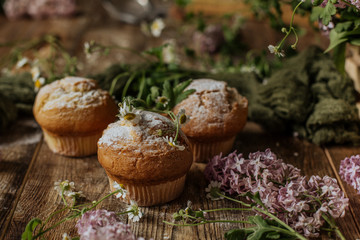 On the table among the lilac branches are vanilla cupcakes