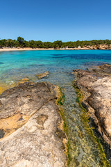 Cala Bassa beach, Ibzia. Spain.