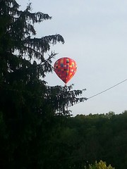 Low Angle View Of Trees And Hot Air Balloon Flying Against Sky