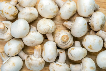 raw mushrooms champignons background Healthy food
