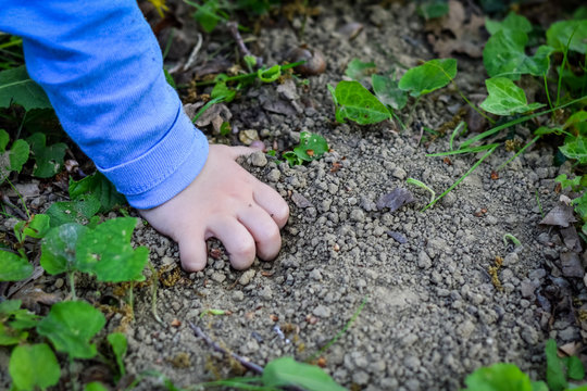 Toddler's hand digging the ground close up
