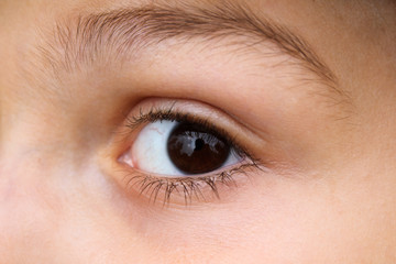 Brown eye of a small child close-up