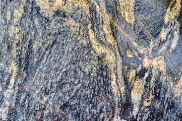 Sea stone texture. Panel texture. Background fill. Natural stone background.
