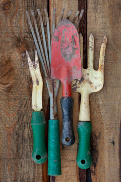A collection of gardening tools on a wood background.