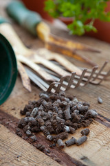 A close up of pellet fertilizer on a wood bench in a garden.