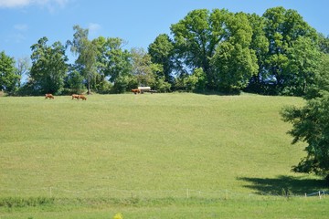 Gunzenhausen - Idylle am Brombachsee.