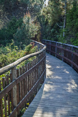 Wooden pathway through the Po Delta Botanical Garden in the salt marsh at Rosolina Mare, Italy.