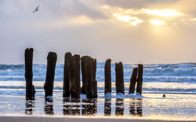 Buhnen am Strand von Rantum