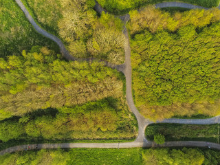 Aerial top down view on walking path in a park, green trees and field, Nobody,