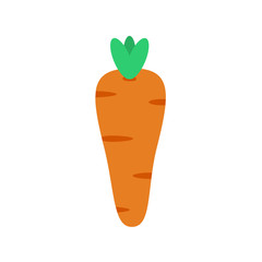 carrot orange and green vegetable flat illustration food