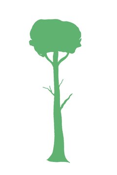 Simple tree vector