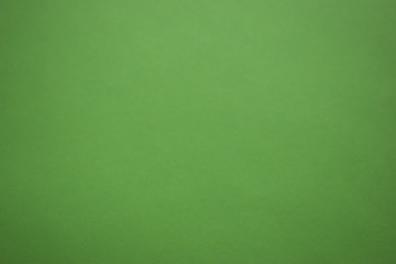 Clean green background. Website, greeting card template