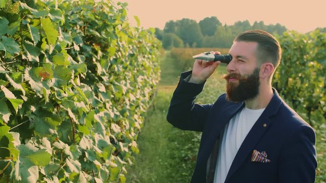 Man on vineyard with special instrument. Side view of elegant bearded man using refractometer standing on green vineyard and checking sugar of grapes