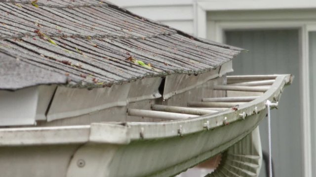 Damaged Roof Gutter Collecting Rain Drops Repair Needed Leaky Hail Roofer Fix