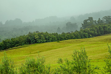 Upcountry Maui