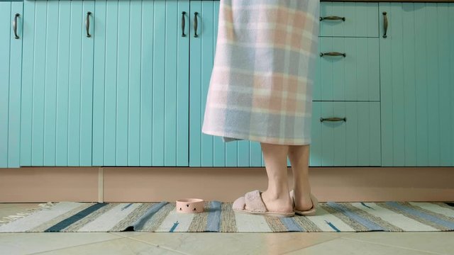 Cute lilac sphinx Daenerys is asking for a cat food in the kitchen.