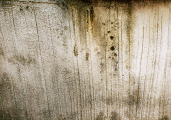 Moss on Cement Wall Texture 
