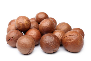 Macadamia nut