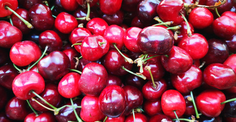cherry ,red,fruits ,fresh, spring, 