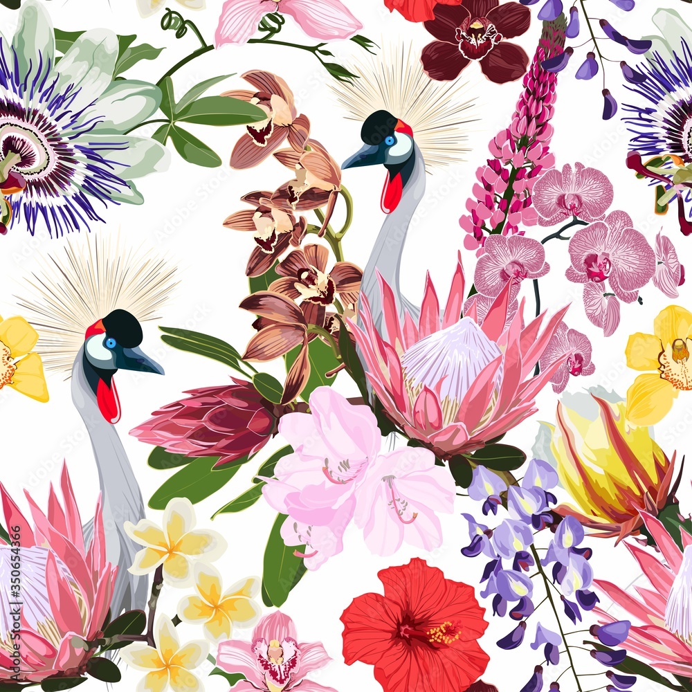 Wall mural exotic birds, protea, orchids and many others exotic flowers, white background. floral seamless patt