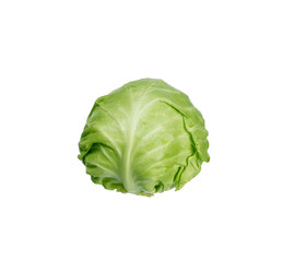 Green Head of young cabbage on a white isolate background.