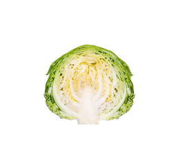Obraz premium Half Green Head of young cabbage on a white isolate background.