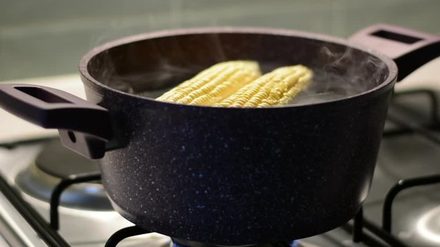 Two cobs of young sweet corn in boiling water in a pan on the stove top. Gas is on and white steam is coming out of the pan
