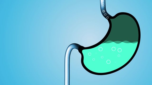 Digestive process in human stomach. Treatment of Gastric gut line. Internal digestion with gastric acid.Abdomen organ Cartoon silhouette. Person diet, Food particles are digested by stomach acid