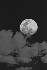 Fototapeta na wymiar The Pink Moon hiding behind clouds in the sky at night. Muscat, Oman.