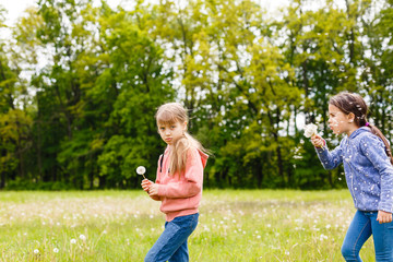 Cute little girl on the meadow in summer day