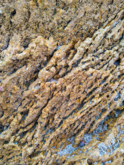 Beautiful rock textured background. A multilayered shell rock formation.