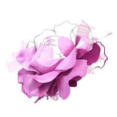 Beautiful lush purple rose, close-up on a white background, with elements of a sketch in purple and pink tones. Gentle calm delightful artistic image of nature