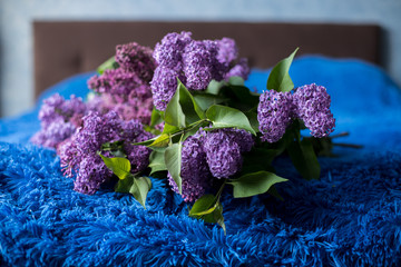 A bouquet of lilac lies on a blue bedspread