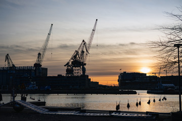 Fototapeta premium cranes in harbor, sunset