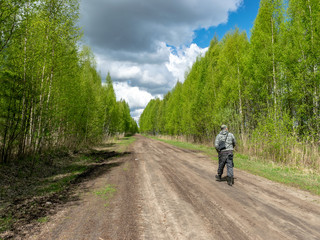 spring natural landscape with green trees and grass on the ground