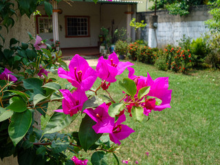 Un atardecer hermosos 