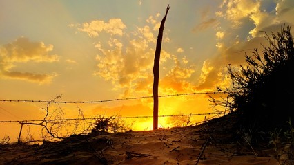 sunset sunlight view in desurt