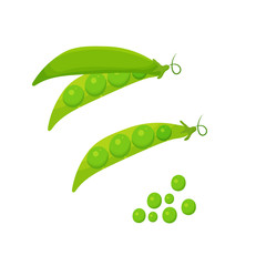 Set of green peas, isolated on white background. Vector flat illustration.