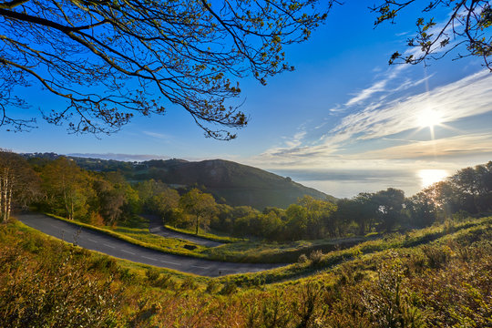Image of Bouley Bay Hill in the sunshine with trees and grass. As well as being access to Bouley Bay, the hill is also used for a motor hill climb for cars and motorcycles. Jersey Channel Islands