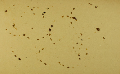Brown coffee stains on paper.