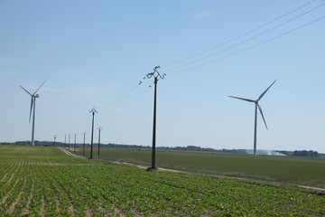 Fototapeta na wymiar Windmill for electric power production, France. Blue sky