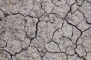 Cracks in dry soil during drought.