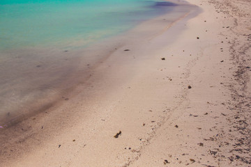 Beach turquoise water ocean 