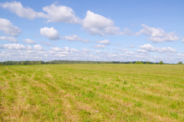 Obraz premium Green field and blue sky during the day