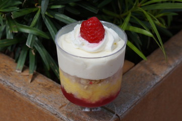 Fruit parfait with a raspberry and whipped cream in a glass